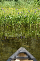 Marais Kingsbury 23 Juillet 2022