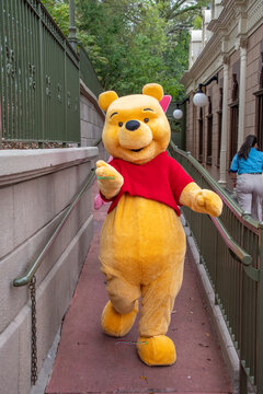 Winnie the pooh character in DIsney Magic Kingdom