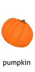 Pumpkin vegetable illustration for kids education 