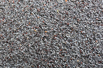 Dry poppy seeds as background, closeup view