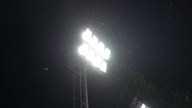 Swarm of bug or moths playing, attracting and flying around light from stadium floodlight at night after rain for breeding. Insects and mosquitoes around lamp of electric spotlight in the dark outdoor