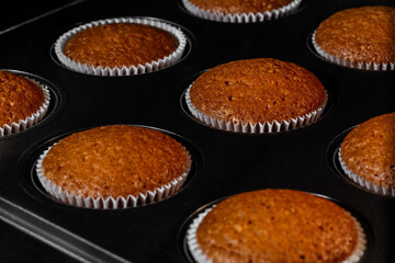 Baked brown cupcakes, muffins in muffin tin in electric oven - close up view. Homemade bakery, food, cooking and pastry concept