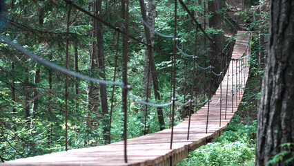 A suspension bridge on hiking trail through green dense forest with a man traveler with red...