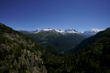 Fleur d'ici et de la...