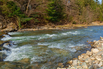  River in Carpathian Mountains, Ukraine.