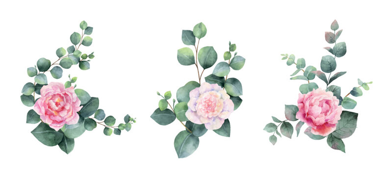 Watercolor vector bouquets of peony flowers and green branches of eucalyptus.