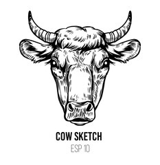 Cow head. Sketch vector illustration