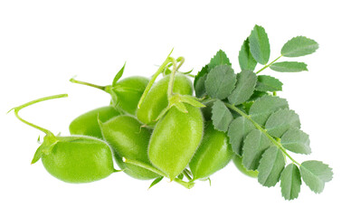 Green chickpeas in the pod with green leaves, isolated on white background. Cicer arietinum. Clipping path.