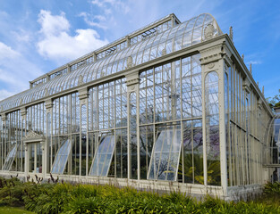 Obraz premium Palm trees growing in huge greenhouse. Exotic thermophilic trees and plants under a roof. Botanical garden