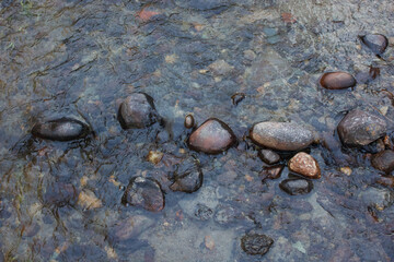 Stream Rocks