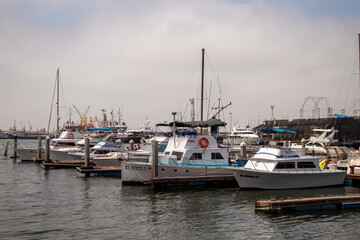 Fototapeta premium boats in marina