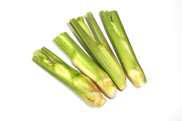 白背景のマコモダケ