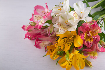 Fresh bright bouquet of alstroemeria lilly flowers lay on white background. Copy space for text, top view, flat lay