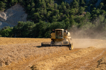 Combine Harvester in action, sunshine and dust