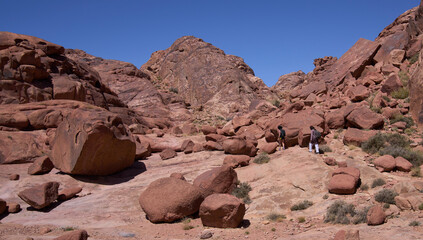 Fototapeta premium Local bedouin and female hiker on the hiking trail in the Southern Sinai, Egypt. Panoramic view over the trail on surrounding red mountains and huge boulders.