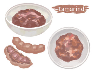 水彩風のタマリンド（ペーストも）。ベクターイラスト素材