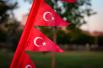Turkey flag in garden with bokeh