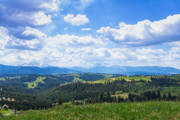 Fototapeta na wymiar Polonina (pasture) in Carpathian Mountains, Ukraine.