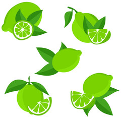 Set with limes. Cutting citrus fruits into slices, slices, circles. Ripe fresh limes on a tree branch.