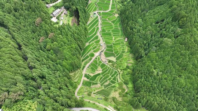 Yotsuya Images Browse 1,549 Stock Photos, Vectors, and Video Adobe