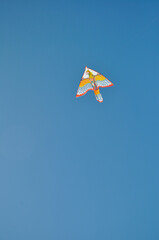 Kite in shape of eagle. Blue sky background. Copy space. Sunny day