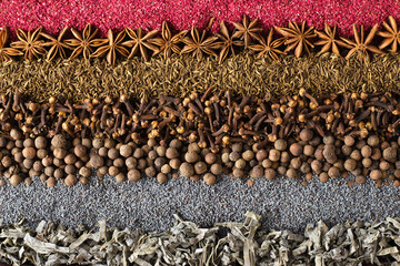 Spices and herbs background for website design. Seasonings scattered on the table.