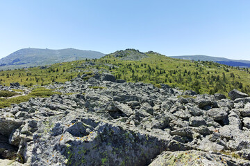 Vitosha Mountain near Kamen Del peak, Bulgaria