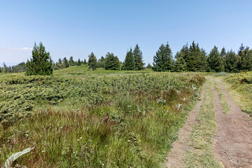 Obraz premium Vitosha Mountain near Kamen Del peak, Bulgaria