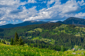 Fototapeta na wymiar beautiful summer countryside landscape in Carpathian Mountains, Ukraine.