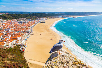 Nazare, Portugal: Panorama of the Nazare town and Atlantic Ocean with seagull bird in the...