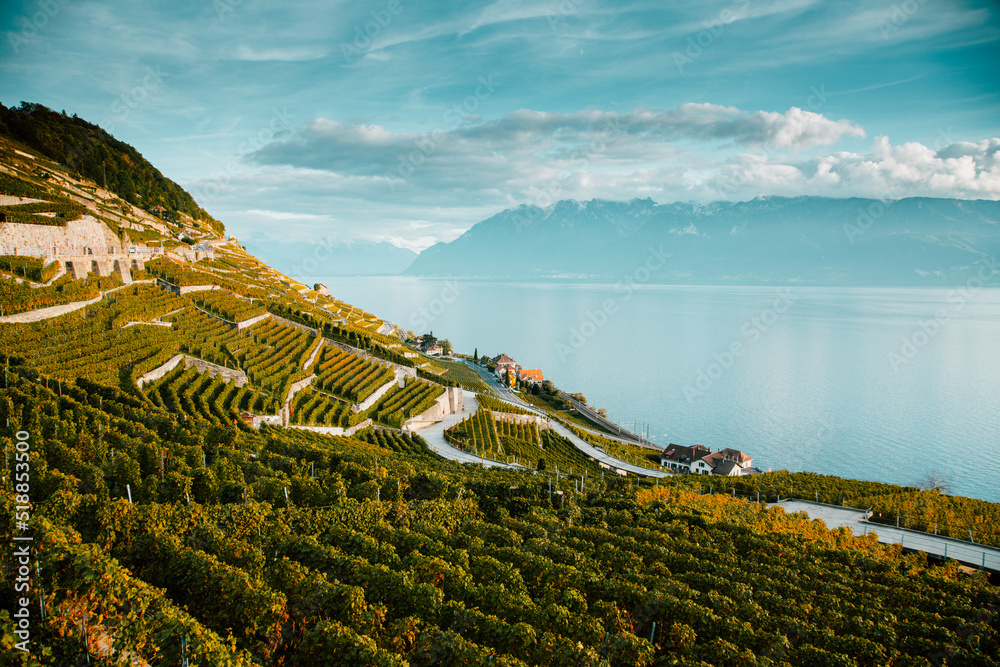 Wall mural Lavaux, Switzerland: Lake Geneva and the Swiss Alps landscape seen from Lavaux vineyard tarraces in Canton of Vaud