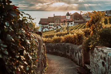 Lavaux, Switzerland: Lake Geneva and traditional swiss hauses during sunset seen from Lavaux...