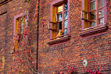 Lodz, Poland: Cat sitting in the window of an old nineteenth-century brick house in a Ksiezy Mlyn district