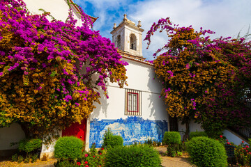 A pink flower of Bougainvillea plant and historical building next to Miradouro de Santa Luzia in Lisbon, Portugal