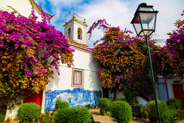 A pink flower of Bougainvillea plant and historical building next to Miradouro de Santa Luzia in Lisbon, Portugal
