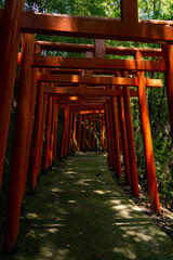 赤い鳥居が連なる葛城蔵王権現社