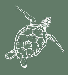 Hand drawn vector illustration of sea turtle.
