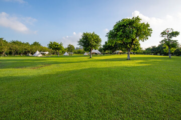 Camping tents on the park lawn