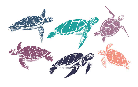 Set of realistic hand drawn vector illustration of sea turtle.