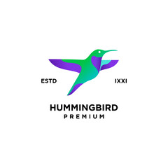 Hummingbird color full logo icon design illustration