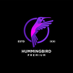 Hummingbird color full logo icon design illustration