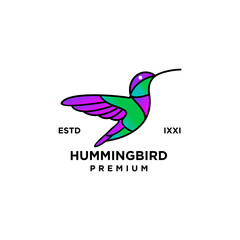 Hummingbird color full logo icon design illustration