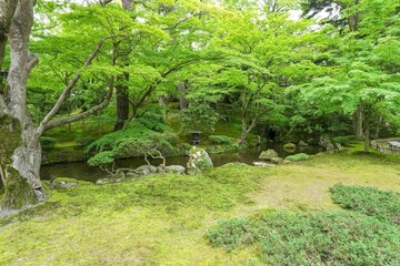 静寂に包まれた春の日本庭園の情景＠兼六園、石川