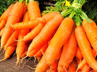 Fresh Orange Organic Carrots in Stall Eugene Saturday Market