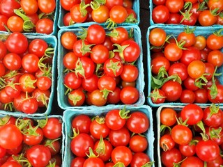 Fresh organic cherry tomatoes in stall at Eugene Saturday Market