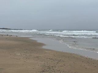 ocean, ocean front, waves, California beaches, California, beach front, surfer, sandy beach, beach, landscape, summer, shore, nature, coast, wave, sea, surf, sand, tide, blue, travel, tropical, water,