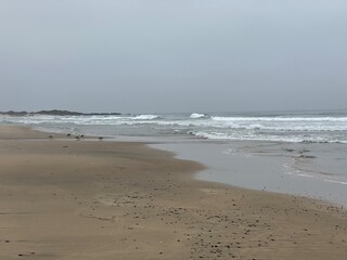 ocean, ocean front, waves, California beaches, California, beach front, surfer, sandy beach, beach, landscape, summer, shore, nature, coast, wave, sea, surf, sand, tide, blue, travel, tropical, water,