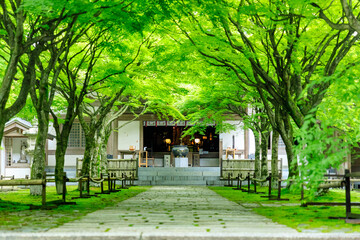 夏の呑山観音寺　福岡県篠栗町　Nomiyamakannonji temple in summer. Fukuoka-ken Sasaguri town.