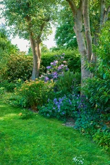 Gardinen Vibrant garden with trees, flowers and lawn with green grass growing in a peaceful backyard. Beautiful flowering plants and bushes in nature. Serene beauty of outdoor landscaping in a park in summer © SteenoWac/peopleimages.com