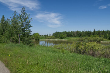 Pylypow Wetlands on a Summer Day